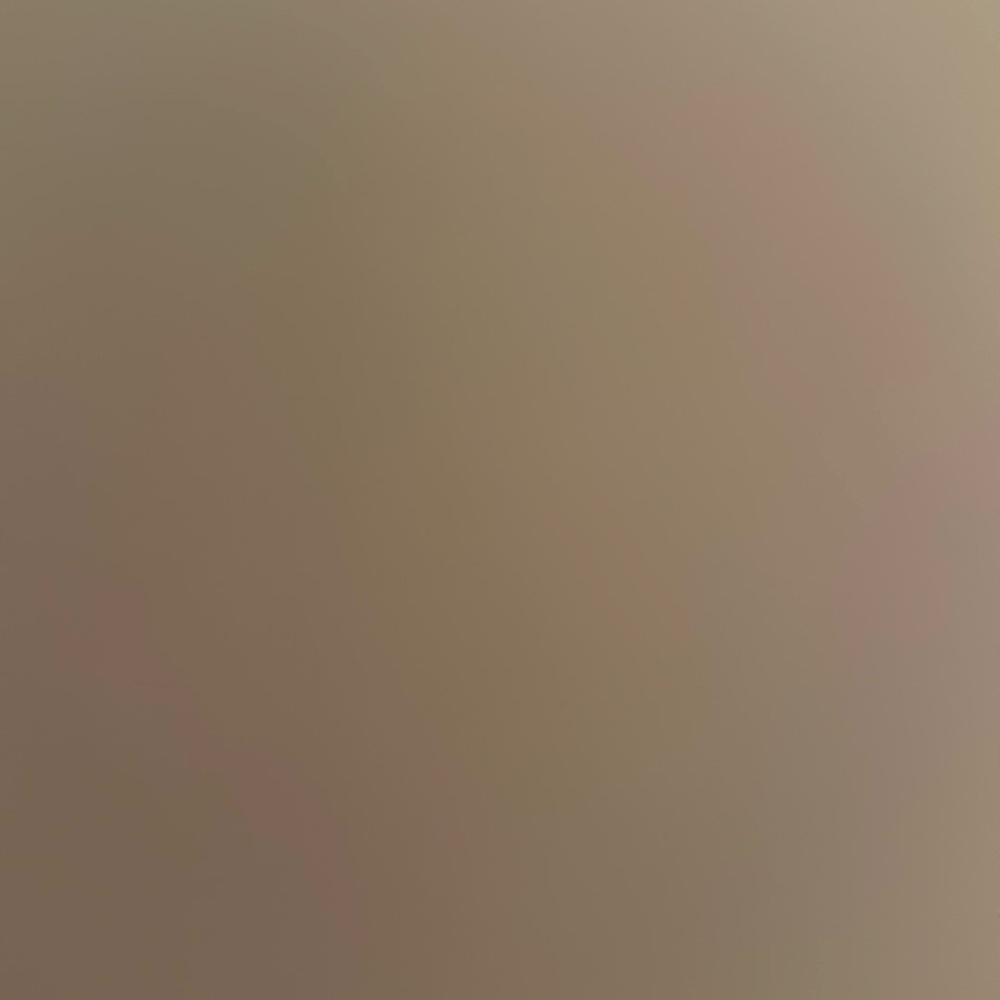 Men’s Vineyard Vine Shorts